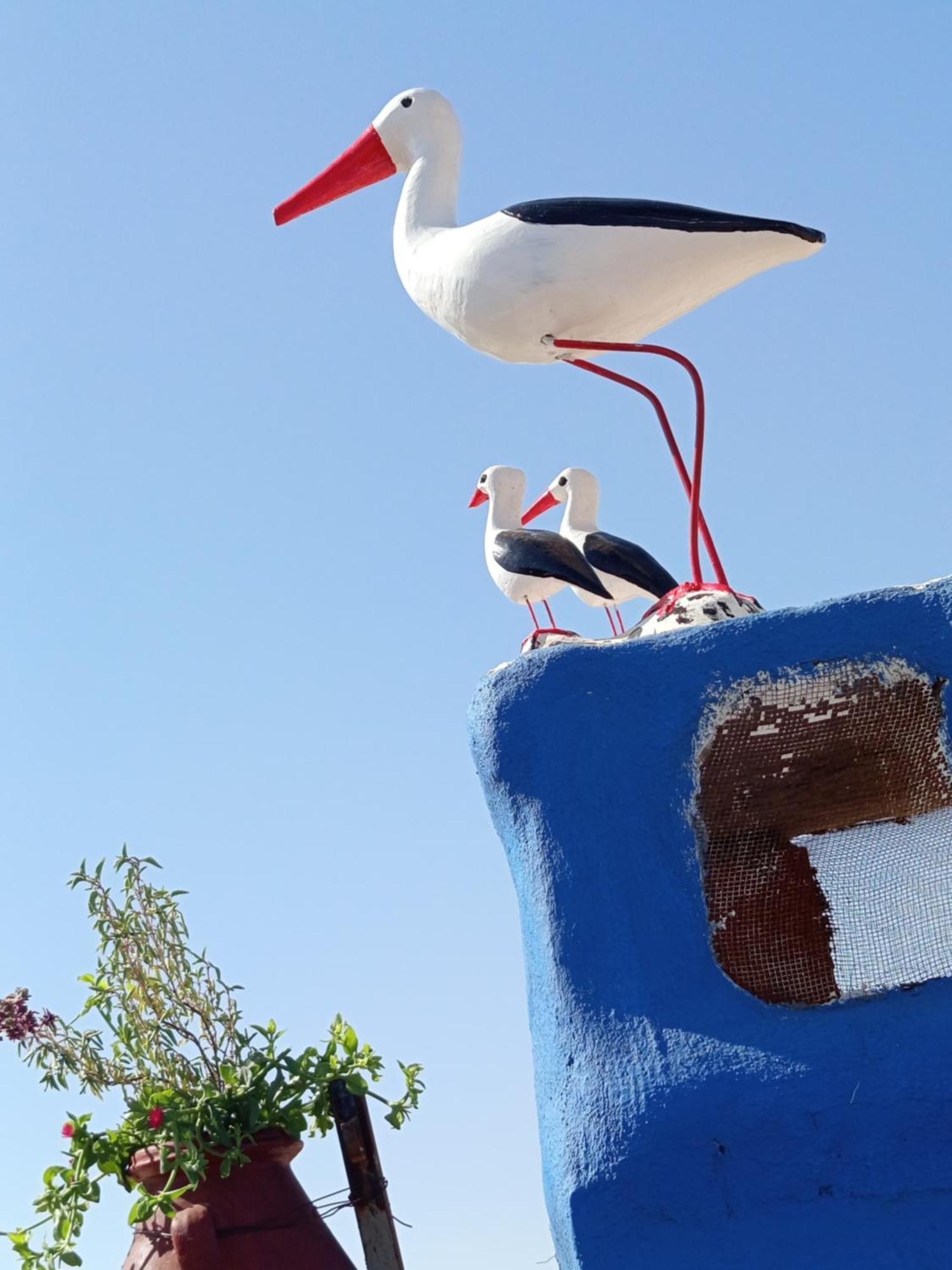 Riad Derb El Aarsa マラケシュ エクステリア 写真