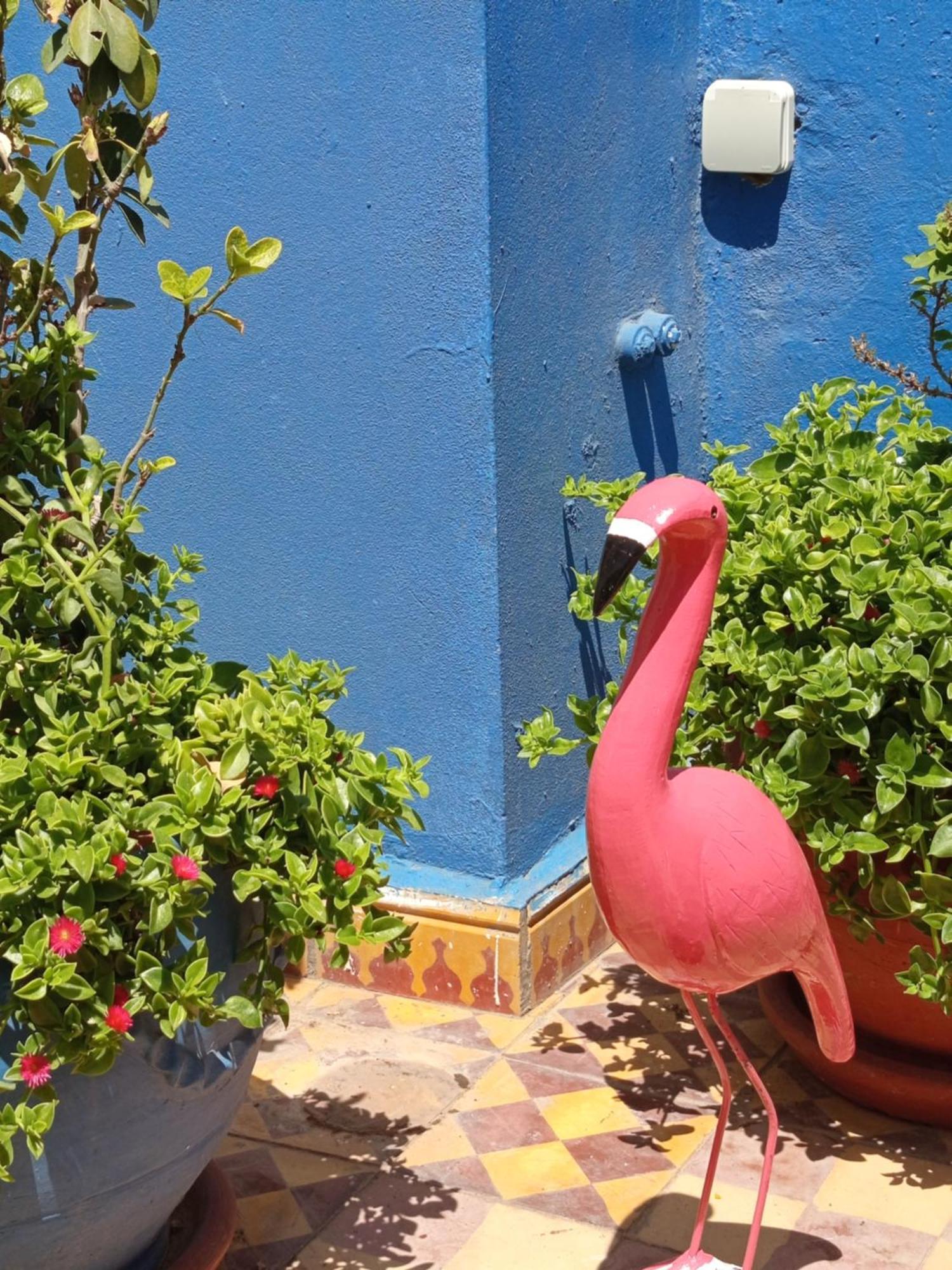 Riad Derb El Aarsa マラケシュ エクステリア 写真